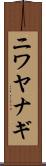 ニワヤナギ Scroll