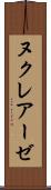ヌクレアーゼ Scroll