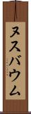 ヌスバウム Scroll