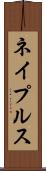 ネイプルス Scroll