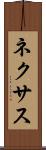 ネクサス Scroll