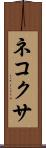 ネコクサ Scroll