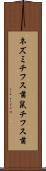 ネズミチフス菌 Scroll