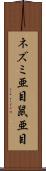 ネズミ亜目 Scroll