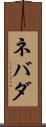 ネバダ Scroll