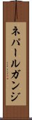 ネパールガンジ Scroll