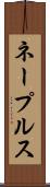 ネープルス Scroll
