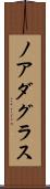 Noah Douglas Scroll