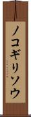 ノコギリソウ Scroll