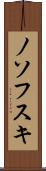 ノソフスキ Scroll