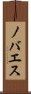 ノバエス Scroll
