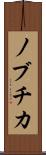 ノブチカ Scroll