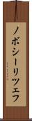 ノボシーリツェフ Scroll