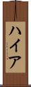 ハイア Scroll
