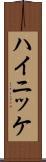 ハイニッケ Scroll