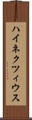 ハイネクツィウス Scroll