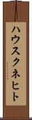 ハウスクネヒト Scroll