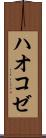 ハオコゼ Scroll