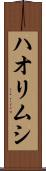 ハオリムシ Scroll