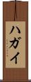 ハガイ Scroll