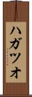 ハガツオ Scroll