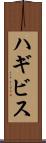 ハギビス Scroll