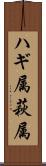 ハギ属 Scroll