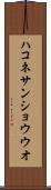 ハコネサンショウウオ Scroll