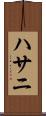ハサニ Scroll