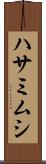 ハサミムシ Scroll