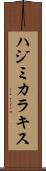 ハジミカラキス Scroll