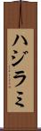 ハジラミ Scroll