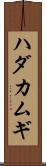 ハダカムギ Scroll