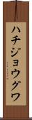 ハチジョウグワ Scroll
