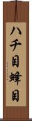 ハチ目 Scroll