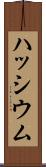ハッシウム Scroll