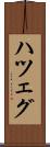 ハツェグ Scroll