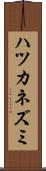 ハツカネズミ Scroll