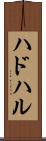 ハドハル Scroll