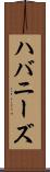 ハバニーズ Scroll