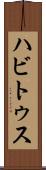 ハビトゥス Scroll