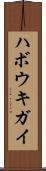 ハボウキガイ Scroll