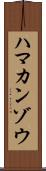 ハマカンゾウ Scroll