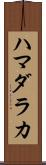 ハマダラカ Scroll