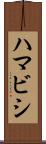 ハマビシ Scroll