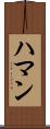 Hamann Scroll