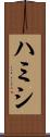 ハミシ Scroll
