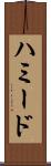 ハミード Scroll