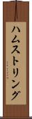 ハムストリング Scroll