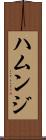 ハムンジ Scroll